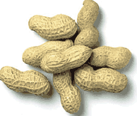 Groundnut in Shell