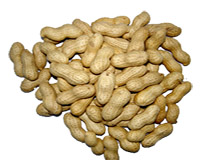 roasted peanuts in shell 